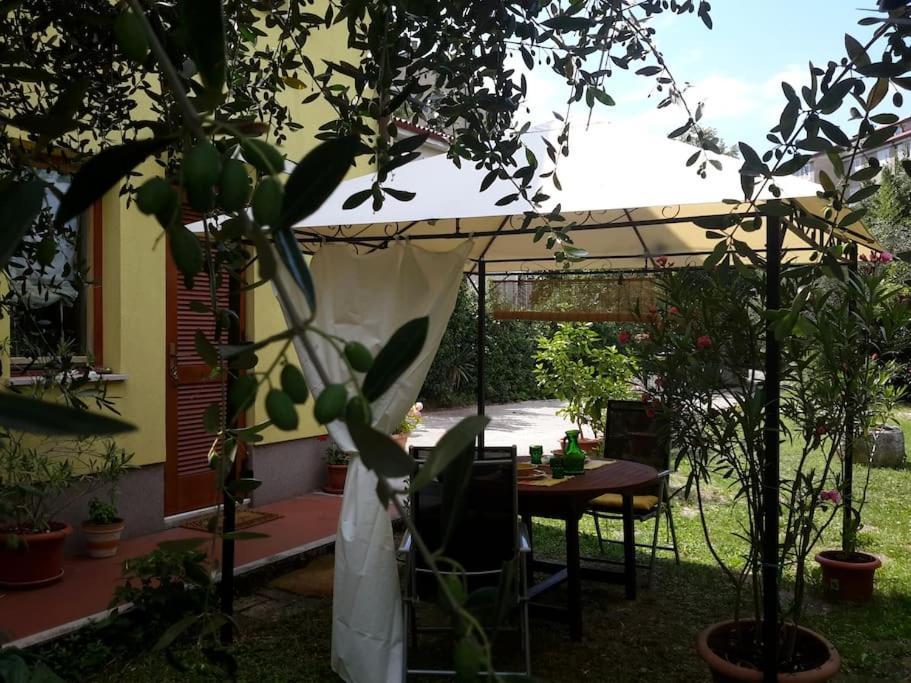 Studio With Garden Near The Sea Koper Ngoại thất bức ảnh